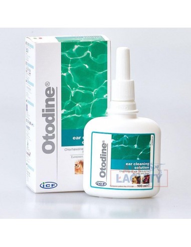 Otodine 100 ml - ICF