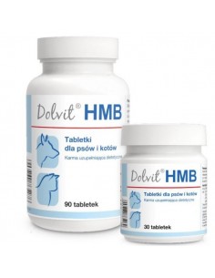 Dolvit HMB 90 tabl. - Dolfos