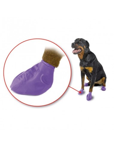 Buty dla psów Pawz rozmiar XXS