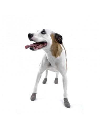 Buty dla psa Pawz czarne rozmiar S