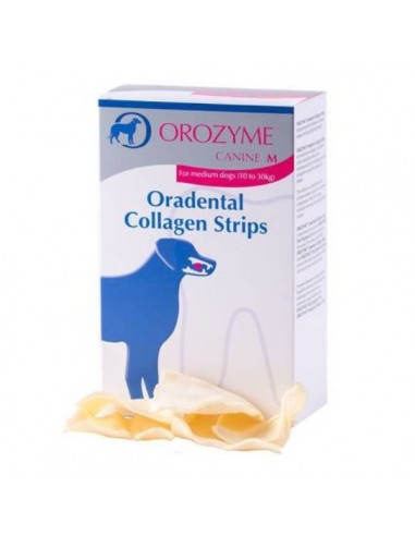 Orozyme Collagen Strips M - Ecuphar N.V.