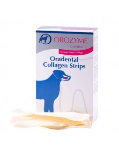 Orozyme Collagen Strips L - Ecuphar N.V.