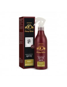 Champ-Richer spray zwiększający objętość 250 ml - DermaPharm