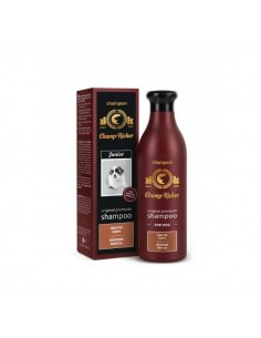 Champ-Richer szampon szczeniak Shih Tzu 250 ml - DermaPharm