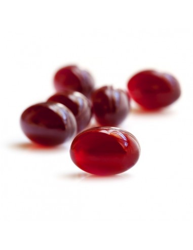 Krill Oil (olej z kryla) 60 kapsułek -  Game Dog