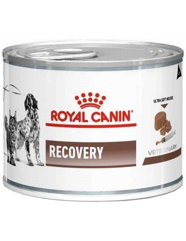 Royal Canin Veterinary Diet Recovery puszka 195g