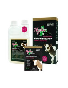 Scanvet HydroCeum - Elektrolity dla cieląt