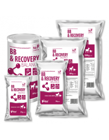 BB & Recovery Balance 20 g - Vetfood