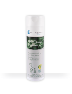 PYOclean szampon 200 ml - Dermoscent