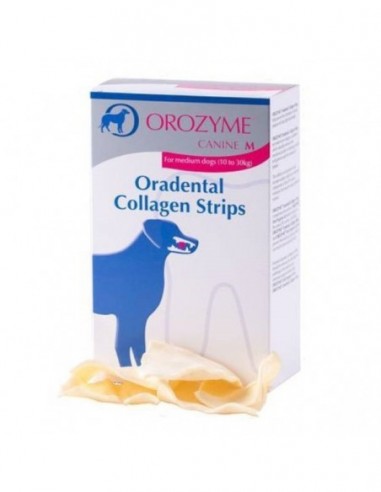 Orozyme Collagen Strips M - Ecuphar N.V.